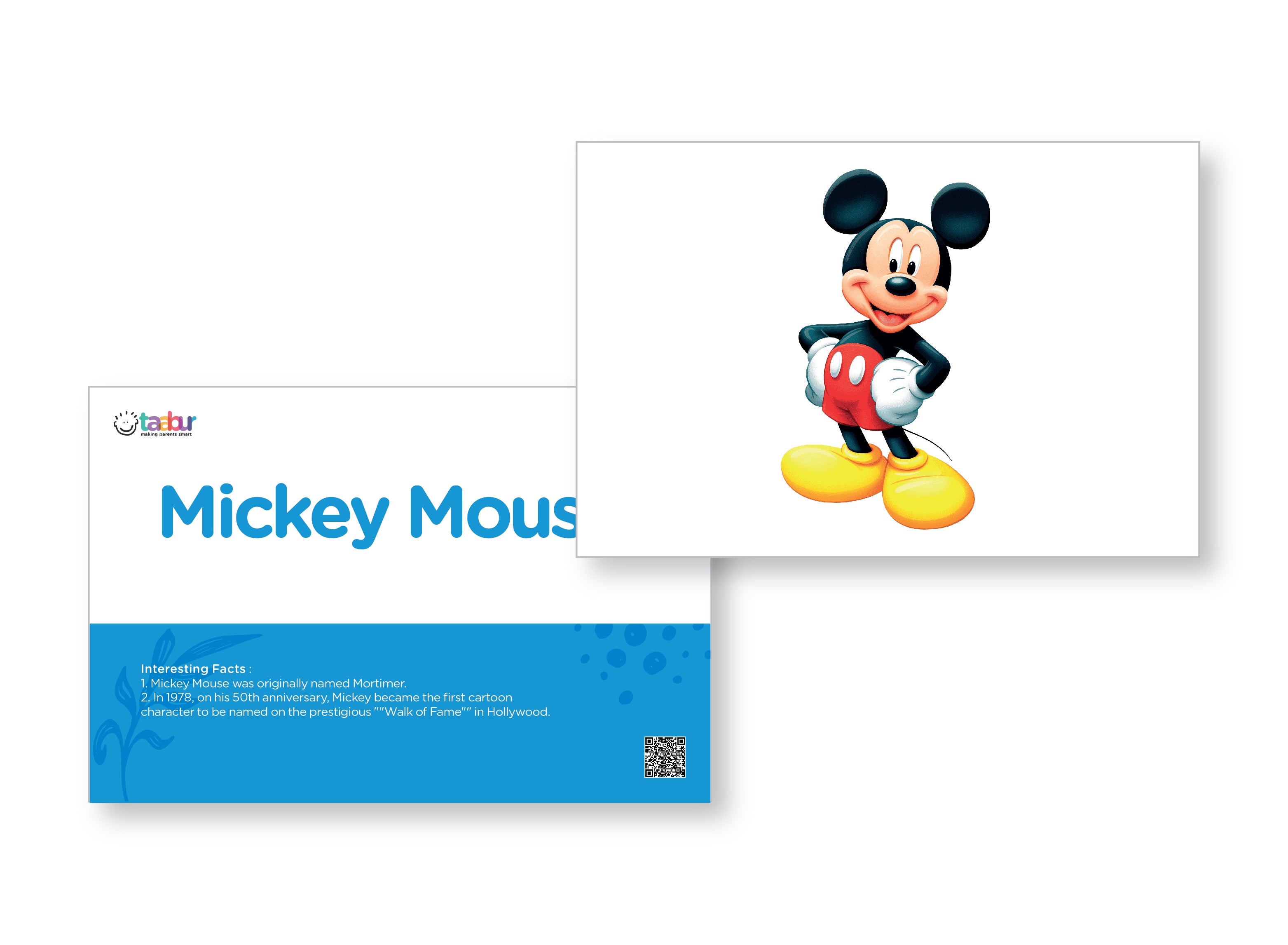 General Knowledge & Awareness- 15 Sets of Interactive Flashcards