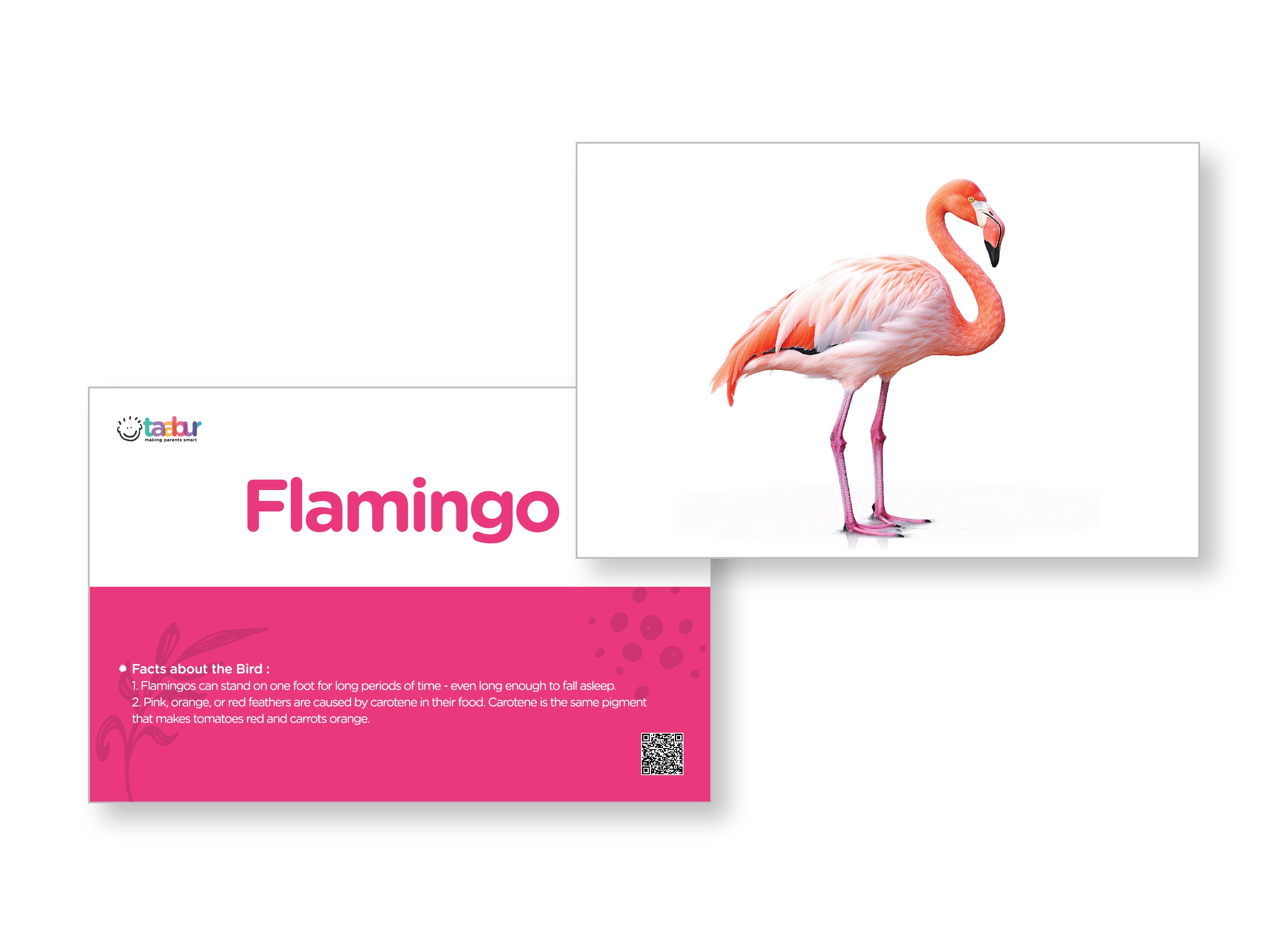 Basic Environment Awareness - 6 Sets of Interactive Flashcards - for Kids Aged 2 to 4 Years Old