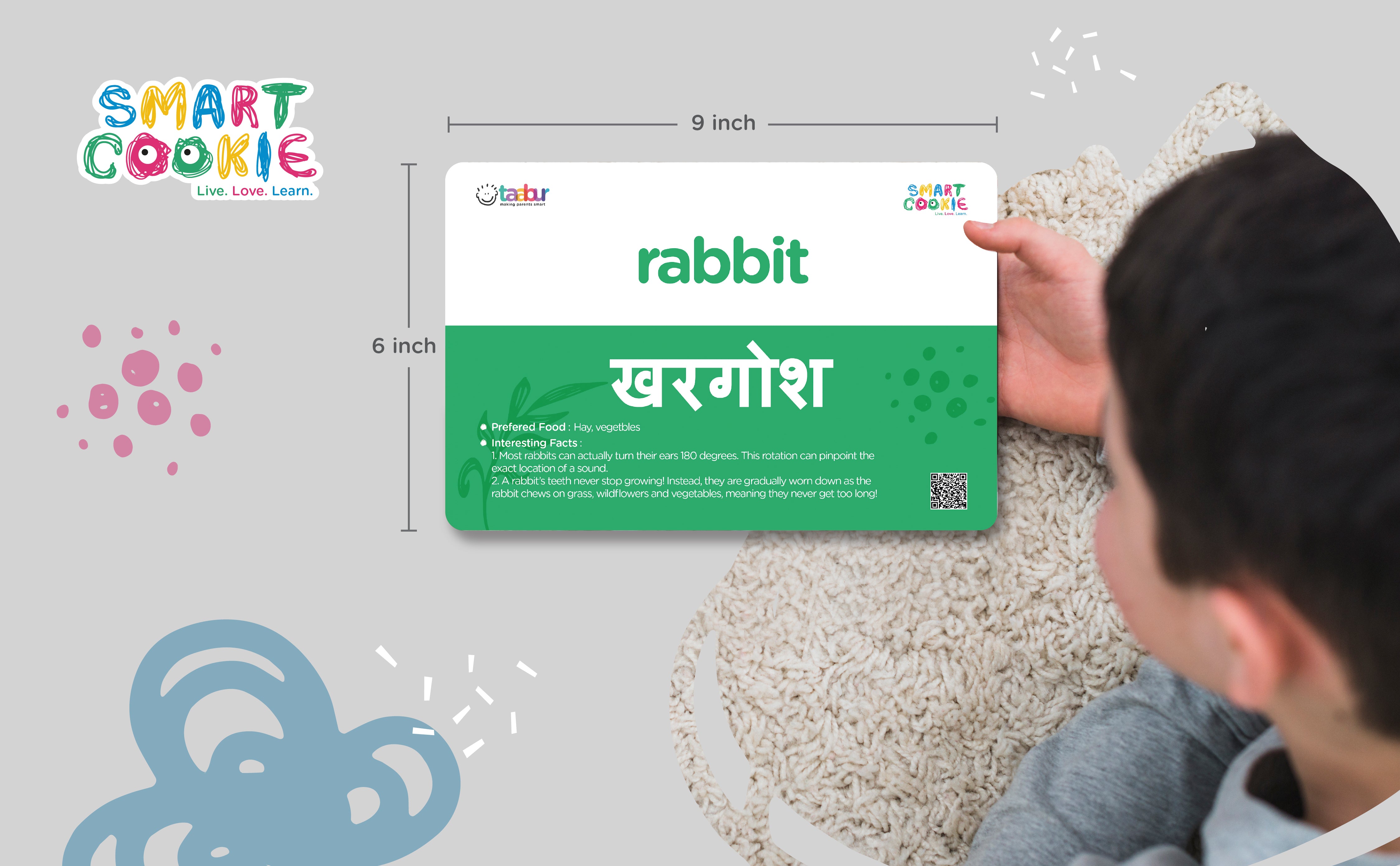 Herbivores - Interactive Flashcards for Children (20 Cards) - for Kids Aged 2 to 4 Years Old