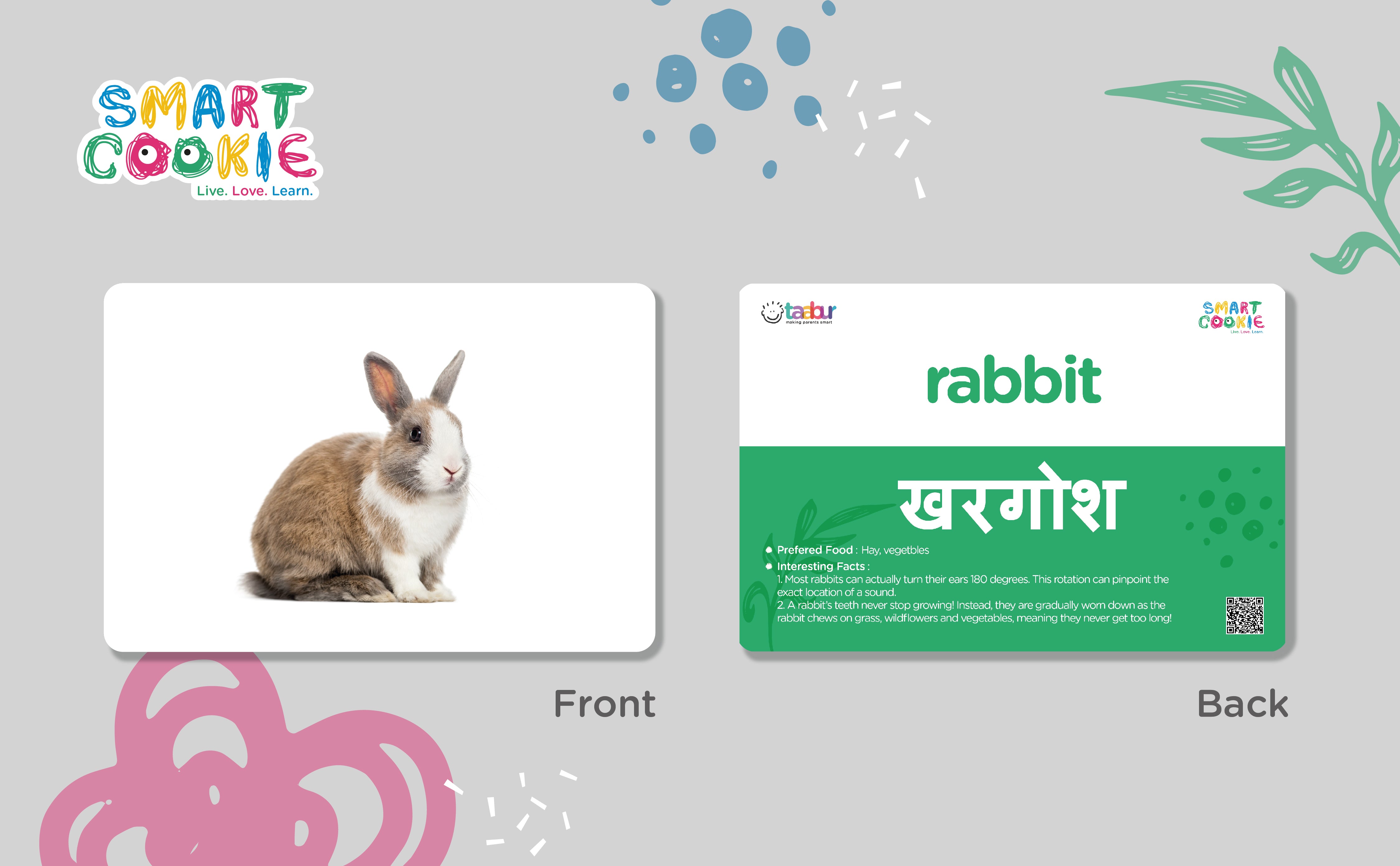 Herbivores - Interactive Flashcards for Children (20 Cards) - for Kids Aged 2 to 4 Years Old