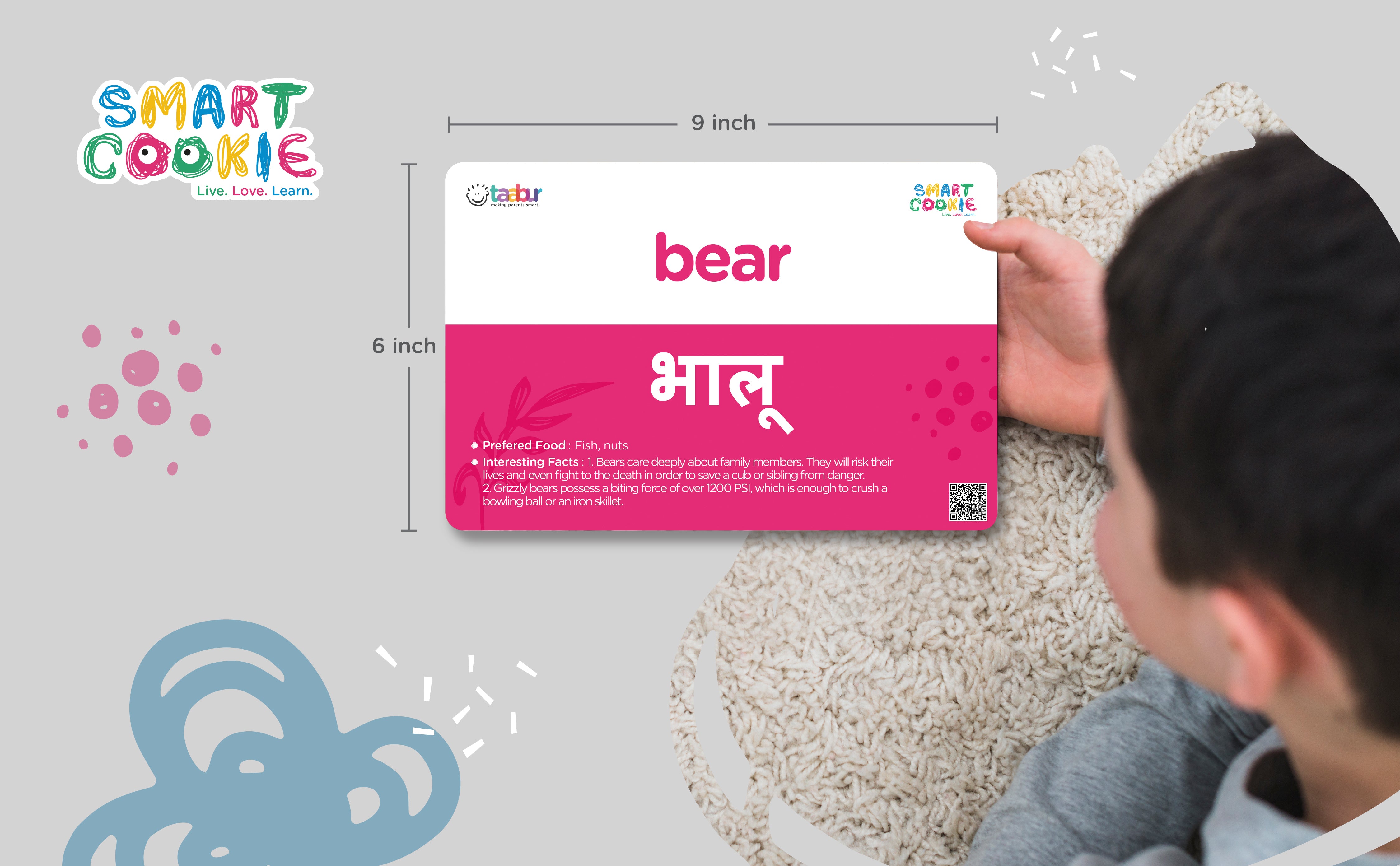 Omnivores - Interactive Flashcards for Children (15 Cards) - for Kids Aged 2 to 4 Years Old