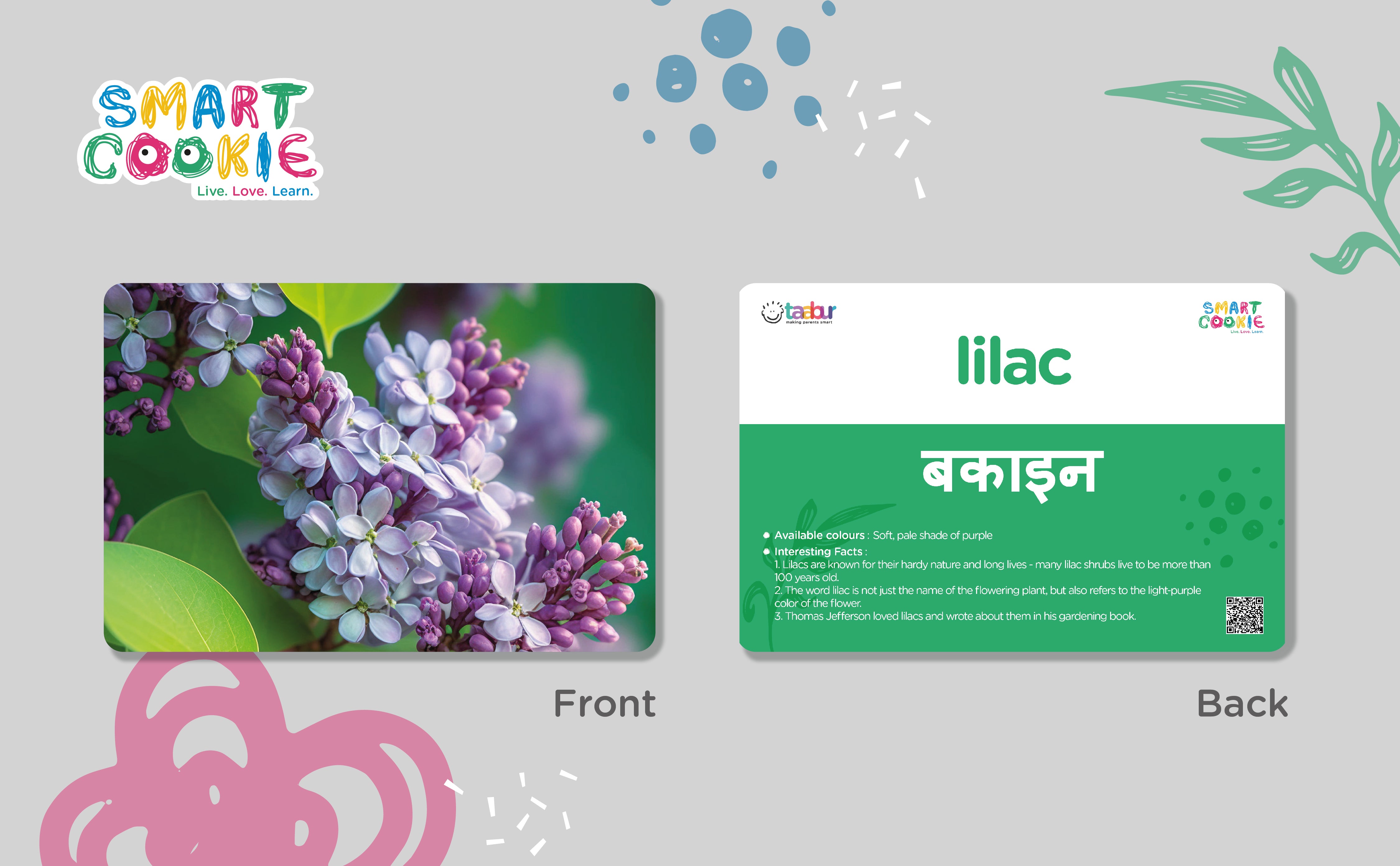 Flowers - Interactive Flash Cards for Children (20 Cards) - for Kids Aged 2 to 4 Years Old