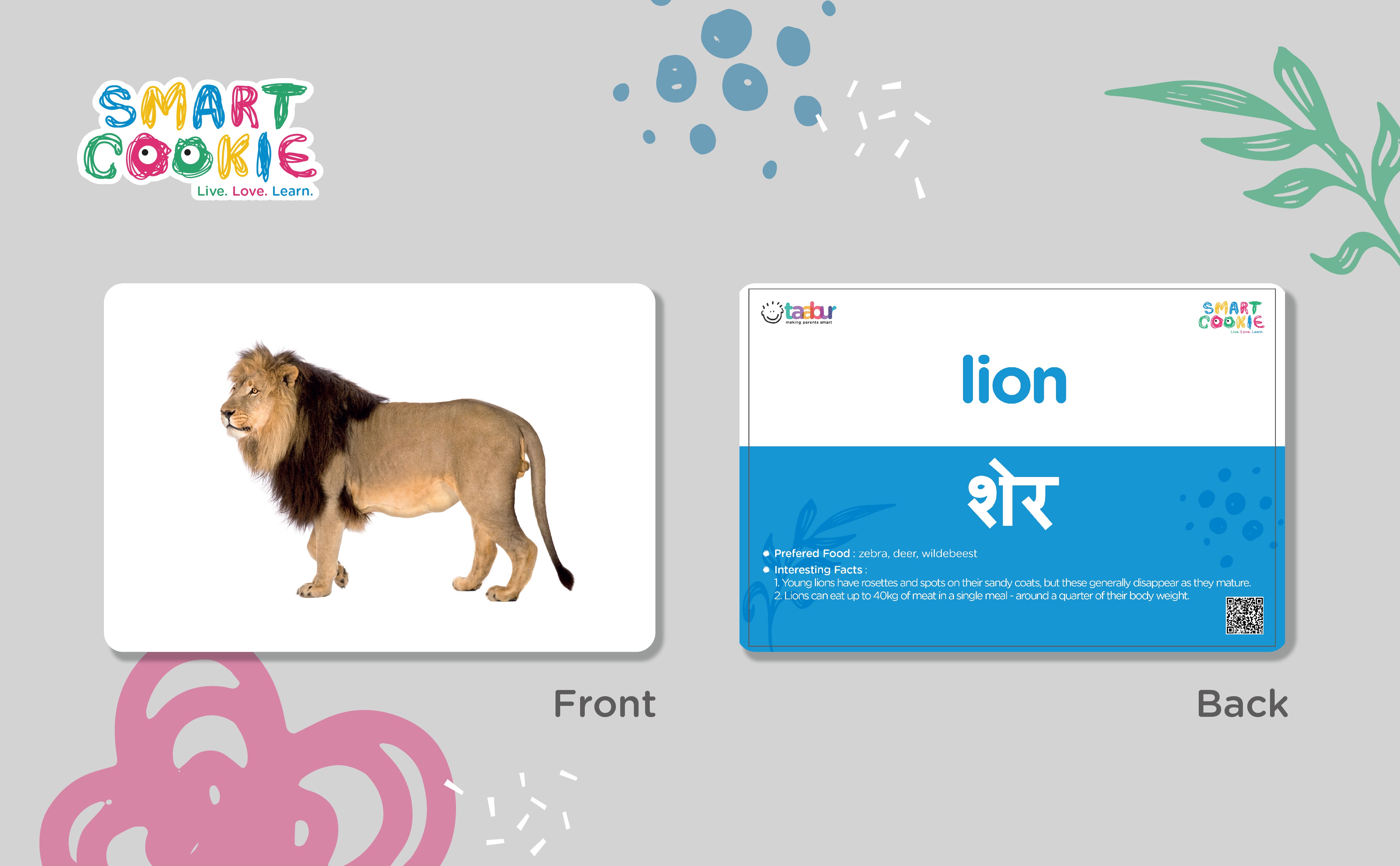Carnivores - Interactive Flashcards for Children (20 Cards) - for Kids Aged 2 to 4 Years Old