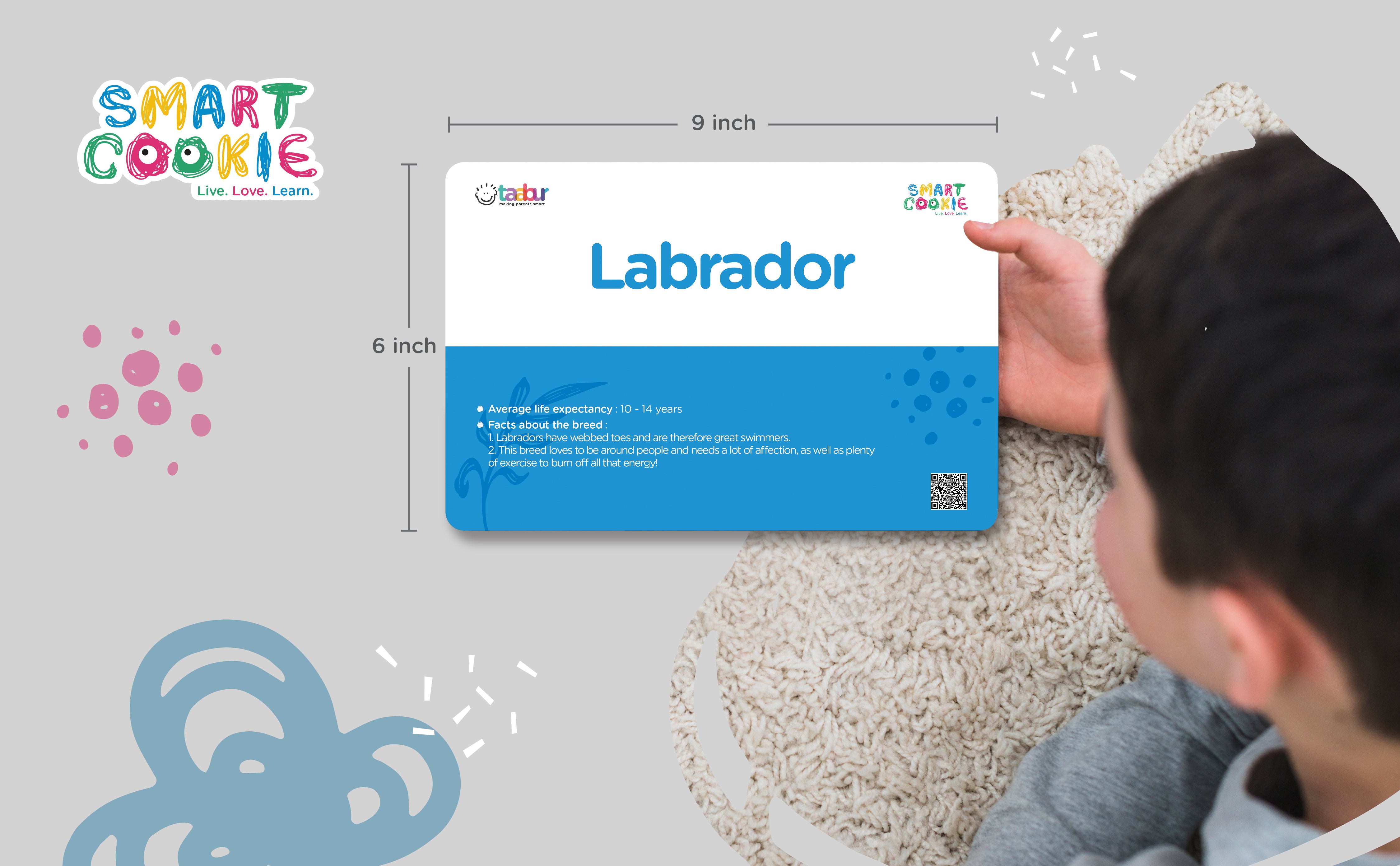 Dog Breeds - Interactive Flash Cards for Children (20 Cards) - for Kids Aged 2 to 6 Years Old