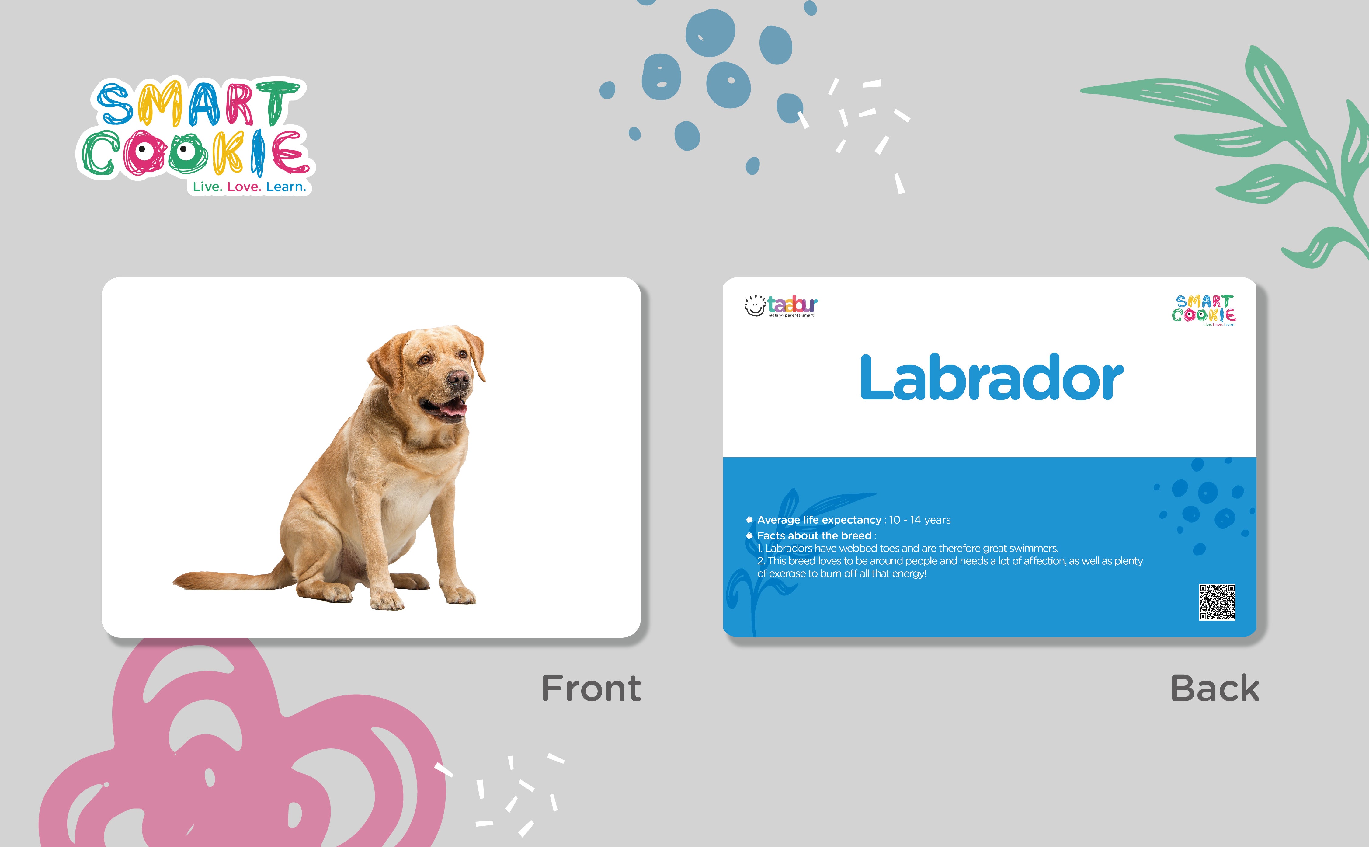 Dog Breeds - Interactive Flash Cards for Children (20 Cards) - for Kids Aged 2 to 6 Years Old