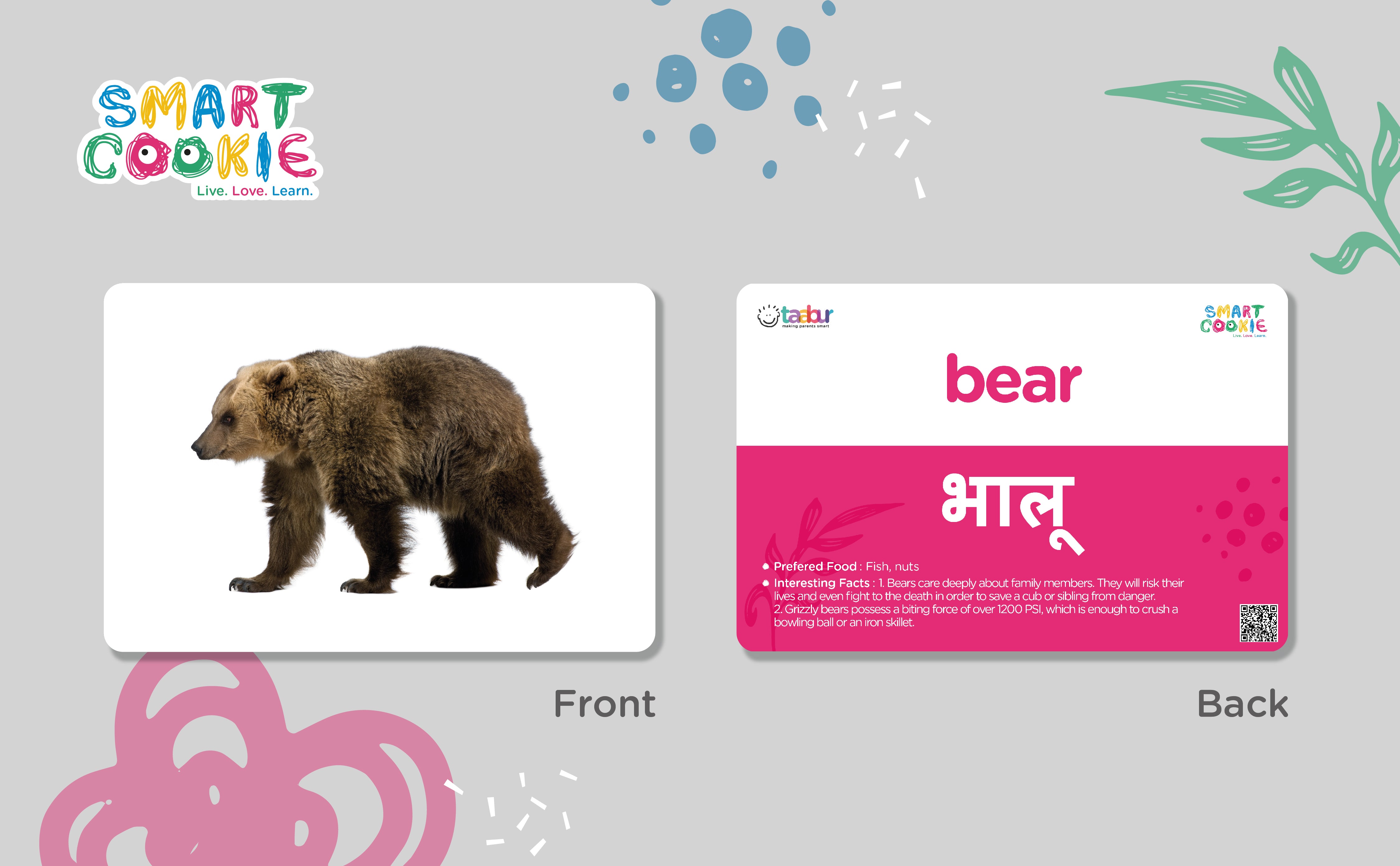 Omnivores - Interactive Flashcards for Children (15 Cards) - for Kids Aged 2 to 4 Years Old