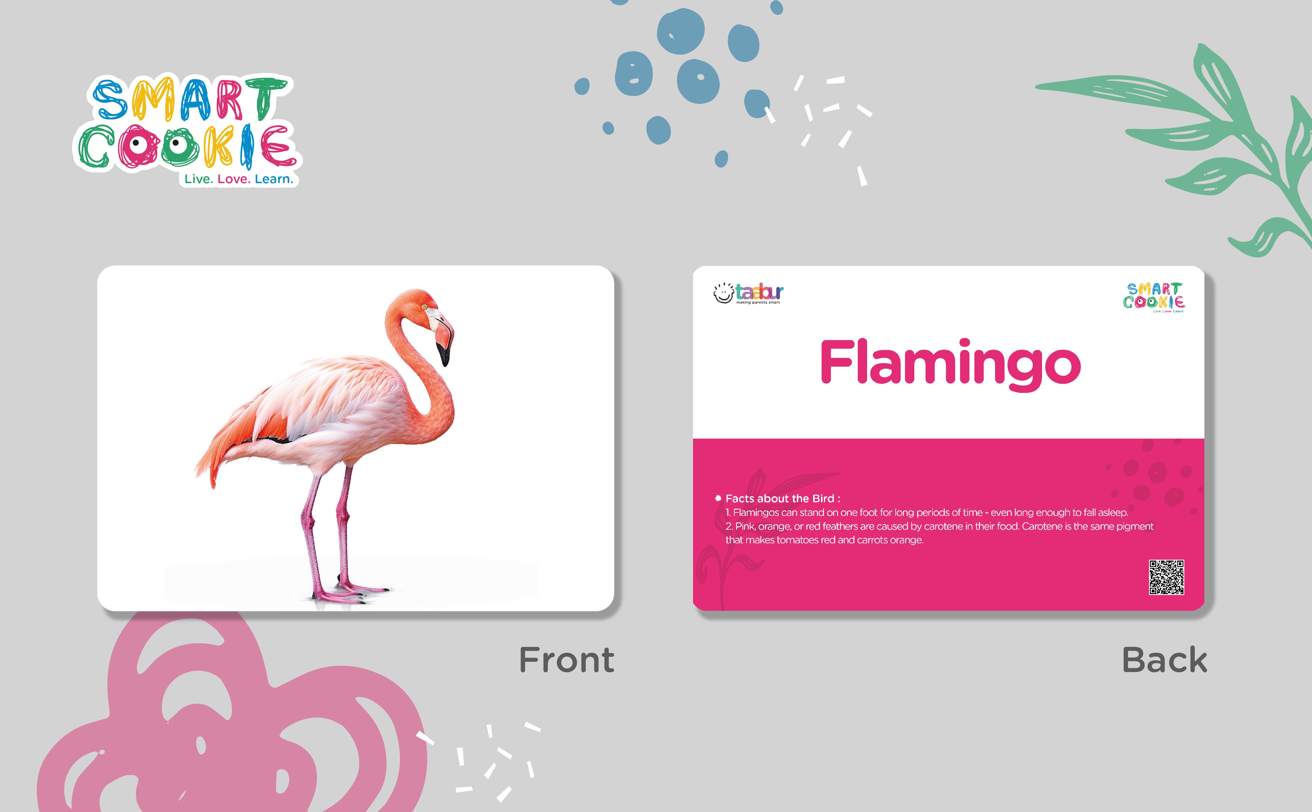Beautiful Birds - Interactive Flash Cards for Children (20 Cards) - for Kids Aged 2 to 4 Years Old